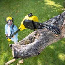 Best Lawn Maintenance Plans  in Los Osos, CA